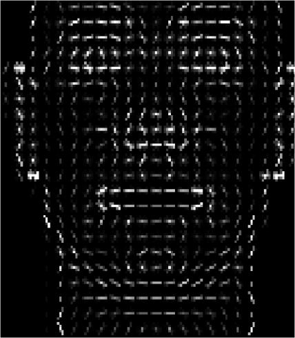 A Facial Landmark Recognition - Case Study