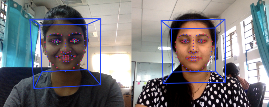 A Facial Landmark Recognition - Case Study