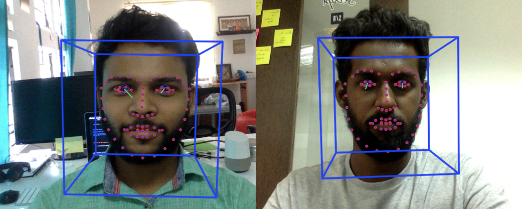 A Facial Landmark Recognition - Case Study