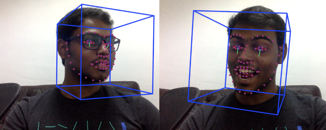 A Facial Landmark Recognition - Case Study