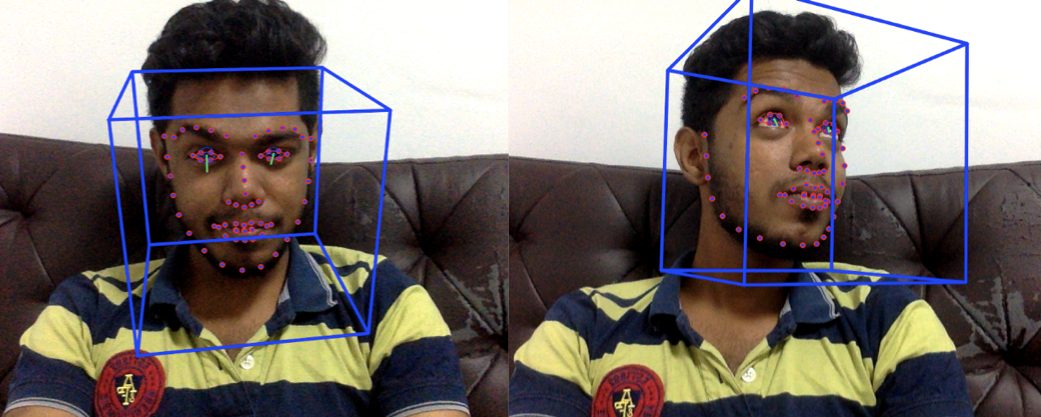 A Facial Landmark Recognition - Case Study